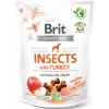 Pamlsek pro psa Brit Crunchy Snack Insects with Turkey and Apples 200 g