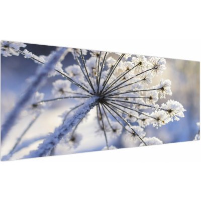 Obraz - Zmrzlý květ, jednodílný 250x125 cm – Hledejceny.cz