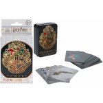 Hrací karty: Harry Potter Bradavice – Zboží Dáma