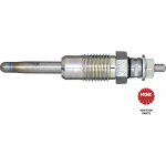 Zhavici svicka NGK 4916