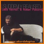 Laďa Kerndl & Roman Pokorný - I Suddenly Realised CD – Hledejceny.cz