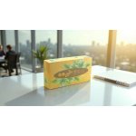 Linteo EKO papírové kapesníky krabička 2-vrstvé 100 ks – Hledejceny.cz