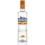 Amundsen Polar Heat 37,5% 0,5 l (holá láhev) – Hledejceny.cz