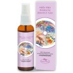 Hanna Maria Therapy Směs pro posílení života v nás ÉTER - RODINA - rozprašovač 50 ml – Zboží Dáma