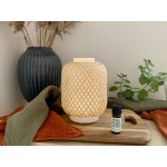 Innobiz Vanelia ultrasonický ratanový aroma difuzér na plochu do 50 m2 – Zboží Dáma