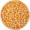 Obiloviny Vital Country Kukuřice na popcorn BIO 1 kg