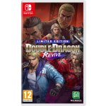 Double Dragon Revive (Limited Edition) – Zbozi.Blesk.cz
