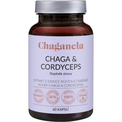 Chaganela Extrakt čagy s cordycepsem 60 kapslí – Hledejceny.cz