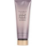 Victoria's Secret Velvet Petals Shimmer tělové mléko 236 ml – Hledejceny.cz
