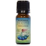 Airbi Esenciální olej Eukalyptus 10 ml – Hledejceny.cz