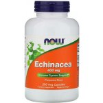 Now Foods Třapatka Echinacea 400 mg 250 kapslí – Hledejceny.cz