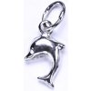 Přívěsky Čištín P 726 36935285 Stříbrný přívěšek delfín