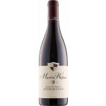 Weingut Martin Wassmer Pinot Noir / Rulanské modré červené 2020 13,5% 0,75 l (holá láhev) – Hledejceny.cz