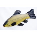 Gaby polštářek ryba Lín obecný 60 cm – Zboží Dáma