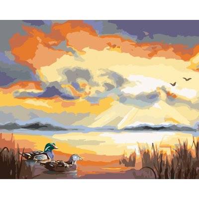 ZUTY Malování podle čísel KACHNA NA JEZEŘE D RUSTY RUST Rozměr 40 x 50 cm Rámování vypnuté plátno na rám – Hledejceny.cz