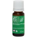 Tierra Verde Silice Eukalyptus BIO uleví při nachlazení 10 ml – Hledejceny.cz