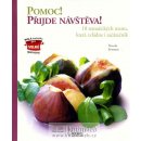 Pomoc! Přijde návštěva! -- 18 tematických menu, která zvládne i začátečník - Nicole Seeman