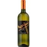 Franz Haas Pinot Grigio 2024 Bílé 13,5% 0,75 l (holá láhev) – Hledejceny.cz