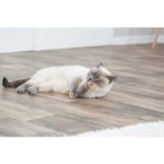 Trixie Matatabi tyčka s třásněmi 24cm – HobbyKompas.cz