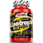 Amix Lipotropic Fat Burner 200 kapslí – Hledejceny.cz