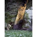 Nordlux 77029934 – Hledejceny.cz