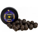 LT Baits Protein Bomb 170 g 20 mm – Hledejceny.cz