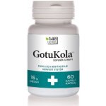 Theo Herbs Gotu kola 60 kapslí – Hledejceny.cz