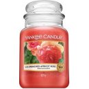 Yankee Candle Sun-Drenched Apricot Rose 623 g