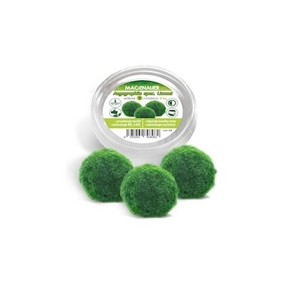 Aegagropila linnaei 3 ks – Zboží Mobilmania
