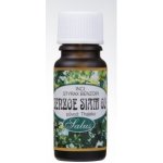 Saloos esenciální olej Benzoe Siam 60% 10 ml – Zboží Dáma
