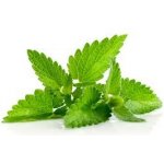 Dekang Classic Menthol 10 ml 6 mg – Zbozi.Blesk.cz