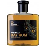 Pashana Bay Rum vlasové tonikum 250 ml – Hledejceny.cz