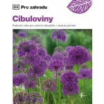 Cibuloviny – Hledejceny.cz