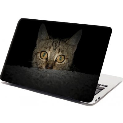 Sablio Samolepka na notebook Kočka - 29x20 cm – Zbozi.Blesk.cz
