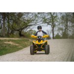 Lamax eBumbleBee ATV60M | Zboží Auto