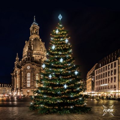 DECOLED LED světelná sada na vánoční stromy vysoké 18-20 m teplá bílá s Flash ledové dekory DZ113S4 – Hledejceny.cz