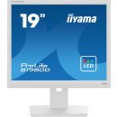 Monitor iiyama B1980D