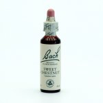 Bachovy květové esence Kaštan jedlý Sweet Chestnut 20 ml – Hledejceny.cz
