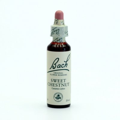 Bachovy květové esence Kaštan jedlý Sweet Chestnut 20 ml – Zbozi.Blesk.cz