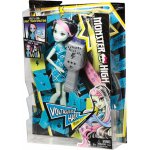 Mattel Monster High Elektrizující Frankie Stein – Hledejceny.cz