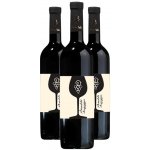 Asadeli Chinuri KVEVRI bílé suché víno 12,5% 3 x 0,75 l (holá láhev) – Hledejceny.cz