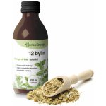 Herbs Energy Energy Drink 12 bylin 100 ml – Hledejceny.cz