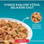 Purina ONE Sterilcat hovězí kuře losos krůta ve šťávě 40 x 85 g – Sleviste.cz
