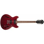 Ibanez AS 53 – Hledejceny.cz