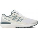 Salomon Sonic 5 Balance M L41710000 white/Lunar Rock/Trooper – Hledejceny.cz