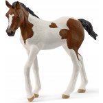 Schleich Hříbě plemene Paint Horse – Zboží Mobilmania