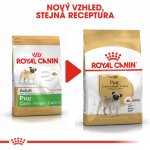 Royal Canin Pug Adult 1,5 kg – Hledejceny.cz