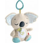 Fisher Price uklidňující Koala na cesty JBD65 – Hledejceny.cz