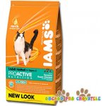 Iams ProActive Health Adult Hairball Care 3 kg – Hledejceny.cz