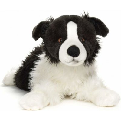 Pes border kolie – Sleviste.cz